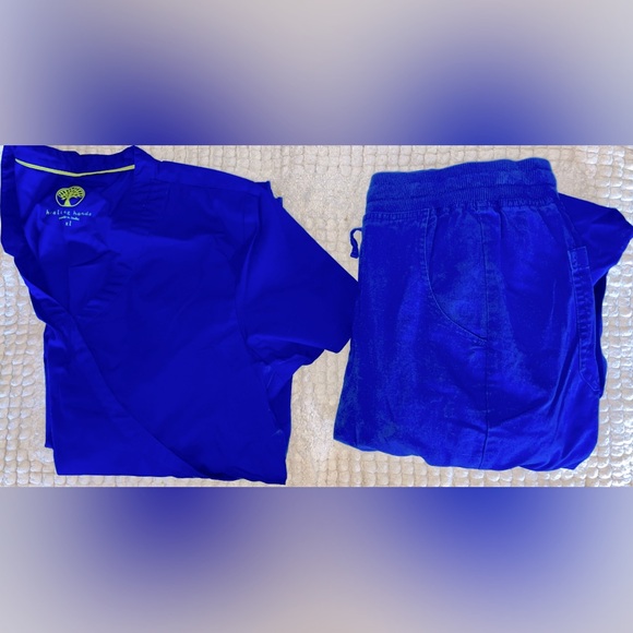 Beautiful Royal Blue Healing-Hands Scrub Set - Picture 2 of 2